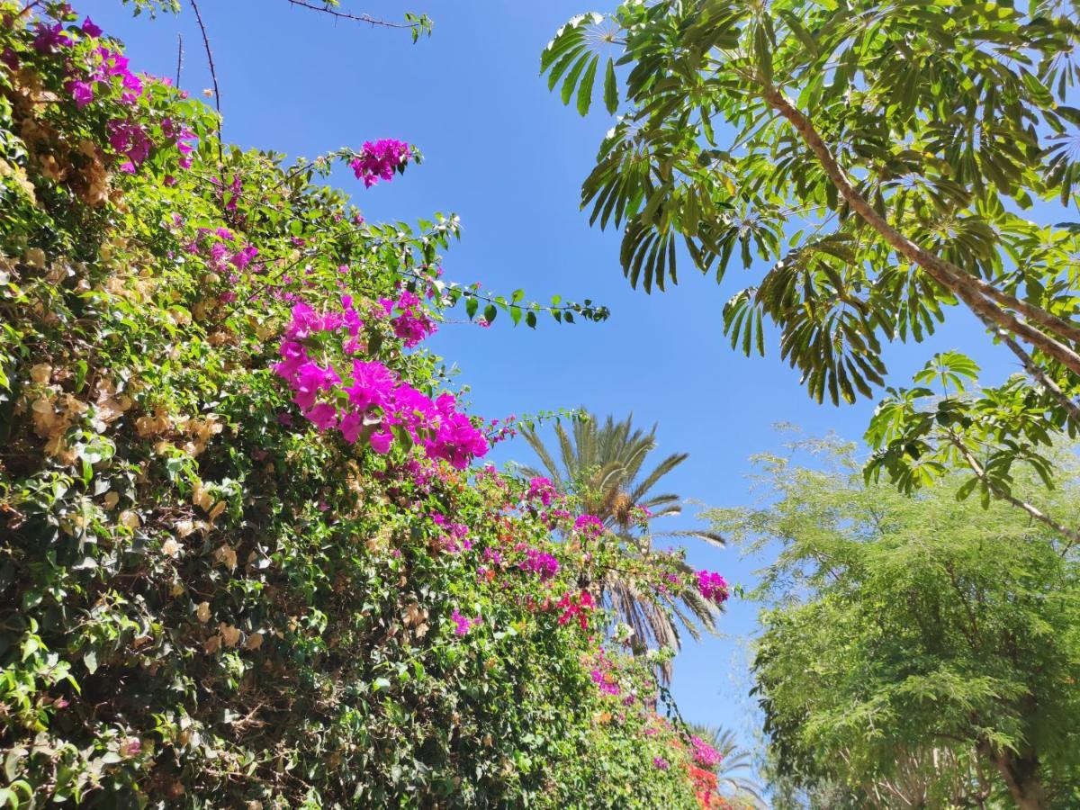 Villa Zinnia Playa Blanca  Extérieur photo